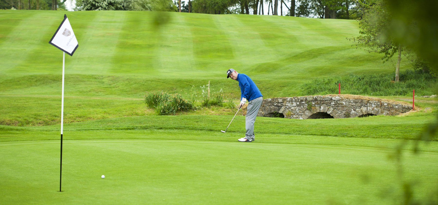 Owner of unleashed dog that attacked deer at golfing route could face charges