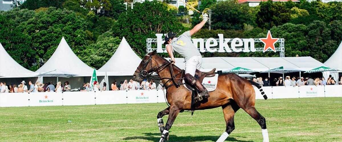 Maine West Athletics Improve Under Jarett Kirshner 1