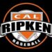 RIPKEN BASEBALL – The History of the Game