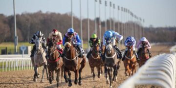 How to Choose the Best Horse Racing Betting System in 2022